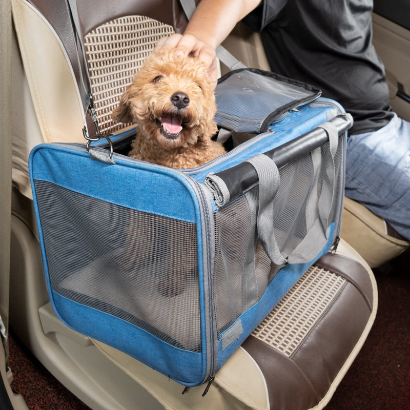 Big pet carrier best sale